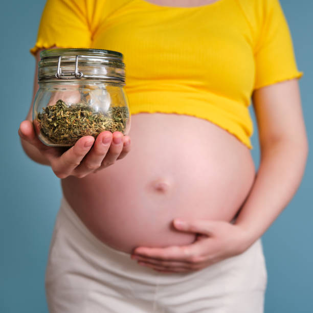 أعشاب مفيدة خلال فترة الحمل